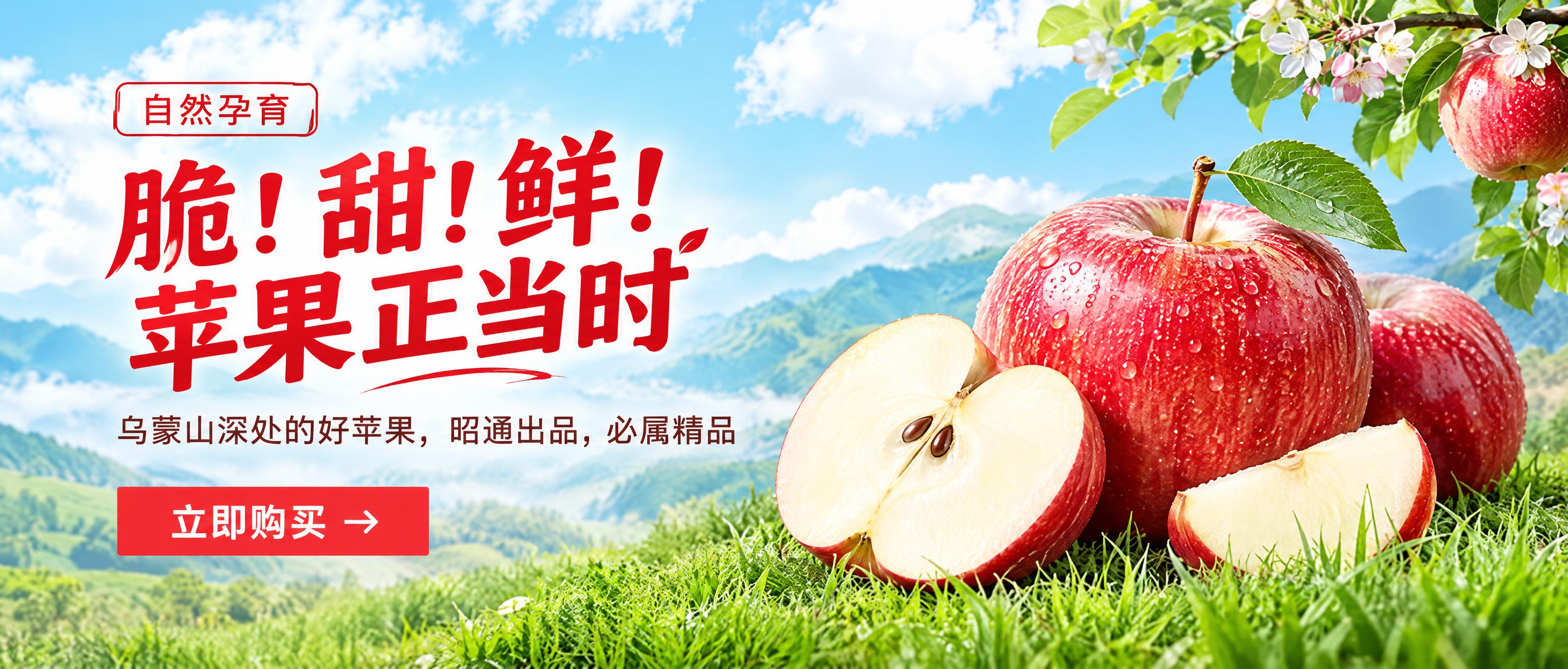 参考图的banner构图风格，左侧为文字区域，右侧为苹果主体产… - 图片创意预览