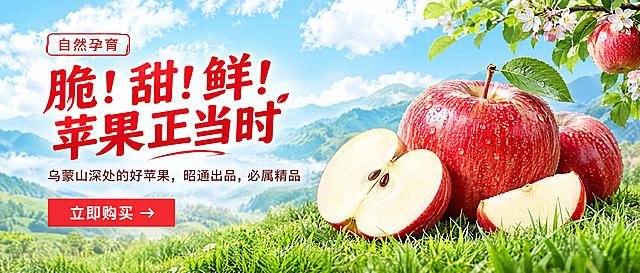 参考图的banner构图风格，左侧为文字区域，右侧为苹果主体产品展示。背景是蓝天白云远山和绿色草地，清新自然风格。画面左侧文字：上方小字标签"自然孕育"，主标题大字体"脆！甜！鲜！苹果正当时"，副标题"乌蒙山深处的好苹果，昭通出品，必属精品"，下方红色按钮"立即购买"。右侧展示新鲜红润的昭通苹果，有完整苹果和切开的苹果切片，放在绿色草地上，右上角有带叶子和花朵的苹果树枝，整体画面清新诱人，突出苹果的新鲜品质。banner尺寸680x280，横版构图。