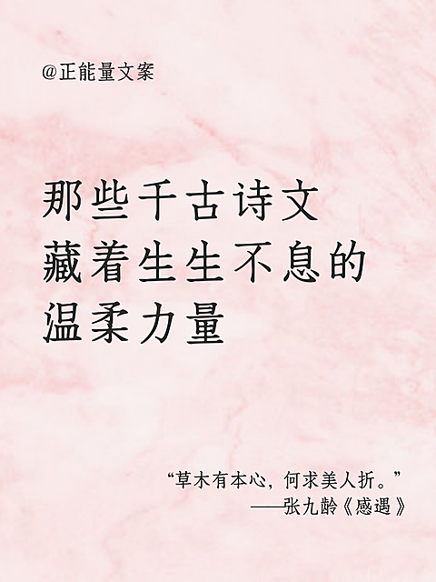 小清新风治愈语录正能量温柔有力量诗文文案小红书封面配图