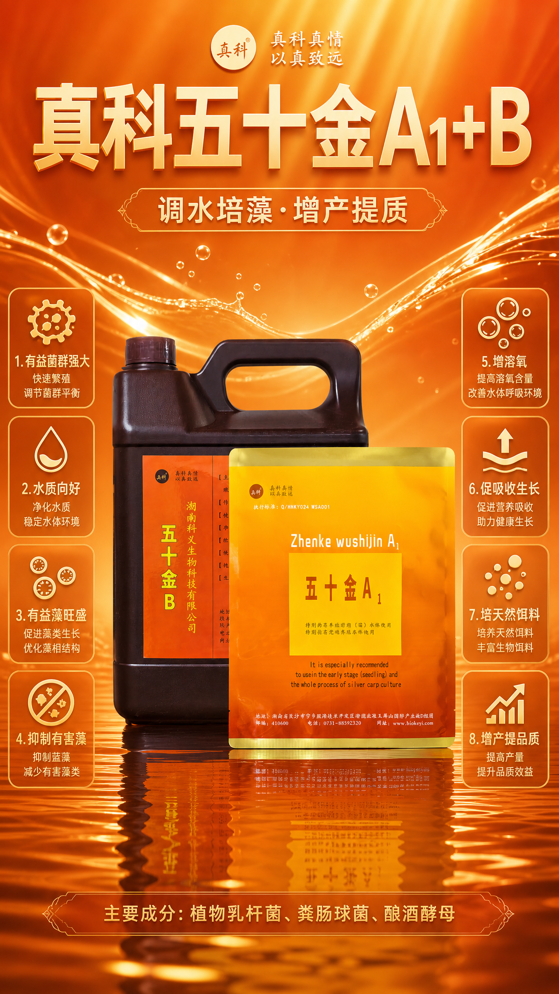 水产养殖产品宣传海报，写实商业摄影风格，高端大气，橙金配色，图… - 图片创意预览