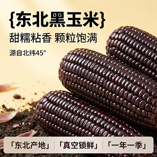 [单张主图] 东北黑玉米 爆款促销感主图，突出食欲感和产地优势，目标吸引点击转化。
[画面主体] 深紫黑色黑玉米棒斜向居中堆叠，颗粒饱满颜色深紫，保持黑玉米外观、颜色、结构与输入产品图一致，商品主体占画面约60%，去掉右下角卡通人物，完整展示玉米。
[构图版式] 采用左文右品促销型版式
[场景元素] 背景用浅暖黄色渐变，融入淡淡的东北黑土地纹理，营造产地氛围，左下角点缀少量玉米苞叶，右下角留空，底部设置浅棕灰色促销权益条。
[文案版式] 左侧分三行排布：
第一行（大字）{东北黑玉米}
第二行（中字）甜糯粘香 颗粒饱满
第三行（小标签）源自北纬45°
底部促销权益条分三列放卖点：
第一列「东北产地」
第二列「真空锁鲜」
第三列「一年一季」
文字不遮挡产品主体，高反差清晰易读。
[光影质感] 自然暖光从左上方照射，呈现玉米颗粒油润光泽，通透自然，暗部有层次，背景虚化浅景深，突出产品主体，商业摄影质感，清晰真实高级。
[配色字体] 主色提取玉米深紫黑色，辅助色暖黄浅棕，强调色深褐，主标题用粗黑无衬线字体，最大字号，卖点字缩小两倍以上，深底亮字对比清晰。
[比例分辨率] 1:1 比例，2k 分辨率，文字清晰锐利。
[负向提示词] 变形，水印，错字，糊字，主体遮挡，背景杂乱，低清晰度，错误结构，卡通人物，规格价格售后文字