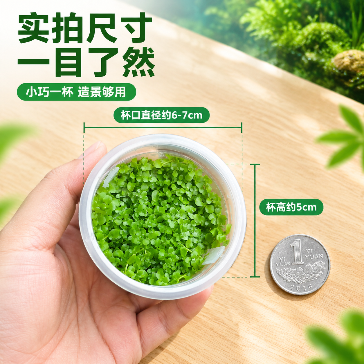 [主图-7] 尺寸规格展示，主题：一杯多大 实拍参照。 [统一… - 图片创意预览