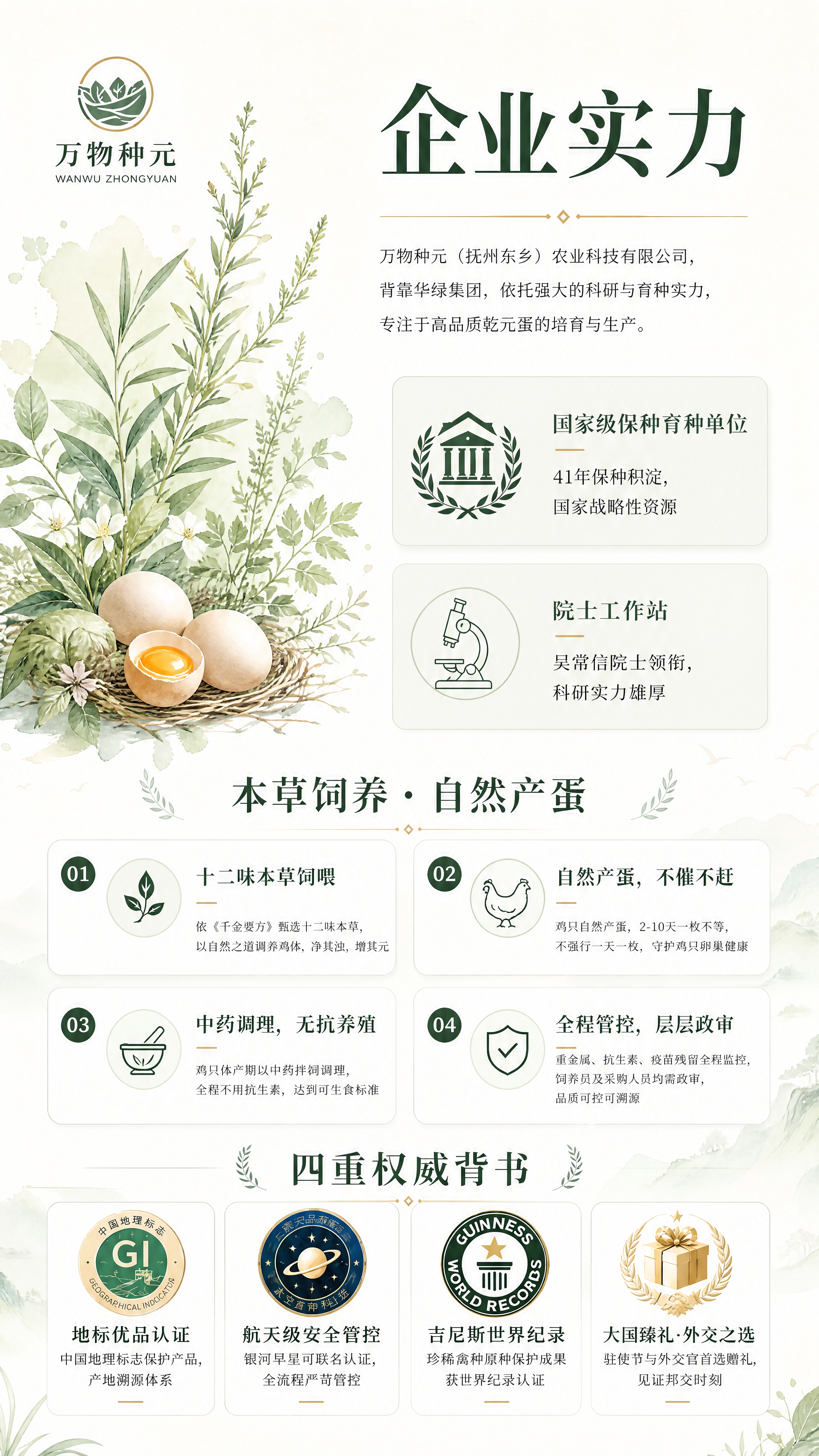 企业三折页第三页设计，主题企业实力，全新不对称创意排版，淡色清… - 图片创意预览
