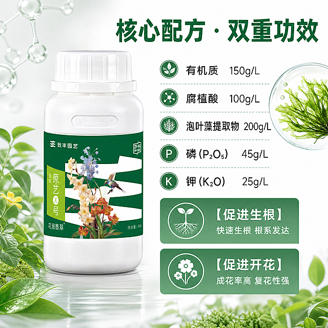 [主图-2] 原艺X号花卉开花生根液核心成分与功效展示
[氛围风格] 专业清晰理性风
[画质] 商业摄影质感，光线通透，产品细节清晰，画面干净高级
[元素] 原产品瓶身主体位于画面左侧，保持外观、结构、颜色与原图绝对一致，无变形色差。右侧分区域展示核心成分信息，摆放泡叶藻原料示意图，精细化处理。商品主体占比约60%，画面满屏无边框
[光影] 均匀柔和光线，结构清晰，高光自然，无过曝死黑
[配色] 主色调绿色、白色，辅以植物自然原色，对比清晰
[视角构图] 左产品右信息，左右分栏版式，整体均衡稳定
[文字版式] 顶部大标题“核心配方 · 双重功效”，绿色粗体大字。右侧分点展示成分参数：
有机质 150g/L
腐植酸 100g/L
泡叶藻提取物 200g/L
磷(P₂O₅) 45g/L 钾(K₂O) 25g/L
下方列出功效：
【促进生根】快速生根 根系发达
【促进开花】成花率高 复花性强
文字排版清晰，字号对比分明，深色字浅色底保证可读性
[比例分辨率] 1:1比例，4k分辨率，文字清晰可辨，超高清
[负向提示词] 变形，水印，文字错乱，产品图模糊，背景杂乱，文字遮挡产品主体
