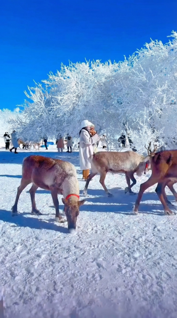 9:16封面图，处理的更细腻，颜色更适合封面一点。预览效果