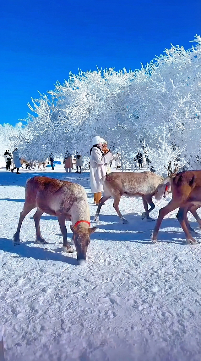 9:16封面图，处理的更细腻，颜色更适合封面一点。