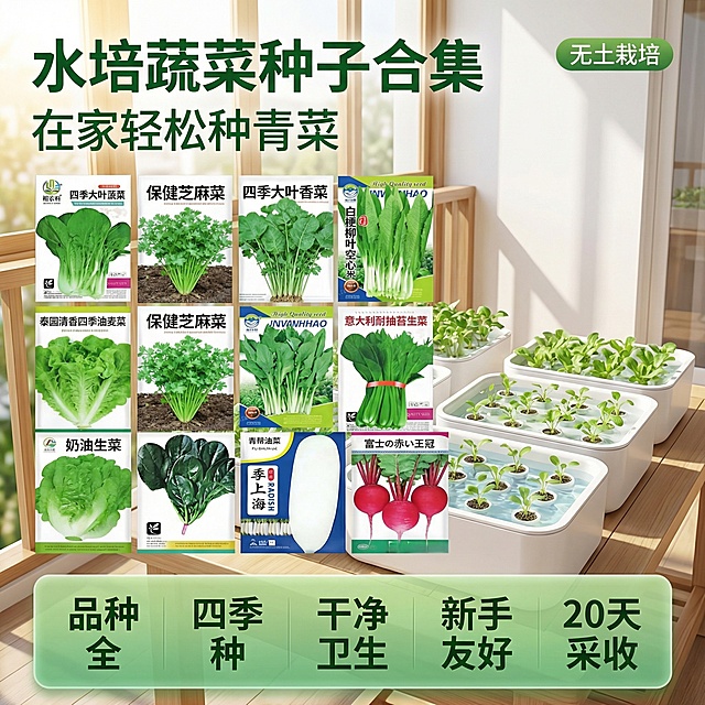 [主图1：首图场景展示] 垫图：用户提供的多种水培蔬菜种子组合图，主图主题：水培蔬菜种子合集首图，氛围风格：清新自然生活化，自然光，真实阳台种植场景，画面元素：用户原图中的十种蔬菜种子包装整齐摆放在家庭阳台种菜盆旁，嫩绿蔬菜小苗已经长出，阳光透过阳台玻璃洒下，光影质感细腻，背景铺满全屏无边框，配色色系：主色调：清新绿色（蔬菜）；辅助色：原木色（阳台围栏）、白色（阳台墙面），视角构图：平视，景深适中，文字版式：主标题“水培蔬菜种子合集”，副标题“在家轻松种青菜”，右上角绿色标签“无土栽培”，底部一排五列卖点：品种全、四季种、干净卫生、新手友好、20天采收，字体为无衬线体，深绿色。采用“产品组合+场景”布局，产品与种子包装主体占据画面中心，主标题悬浮于画面左上角留白处，底部设置半透明渐变蒙层圆角矩形框承载卖点文字，整体构图平衡。