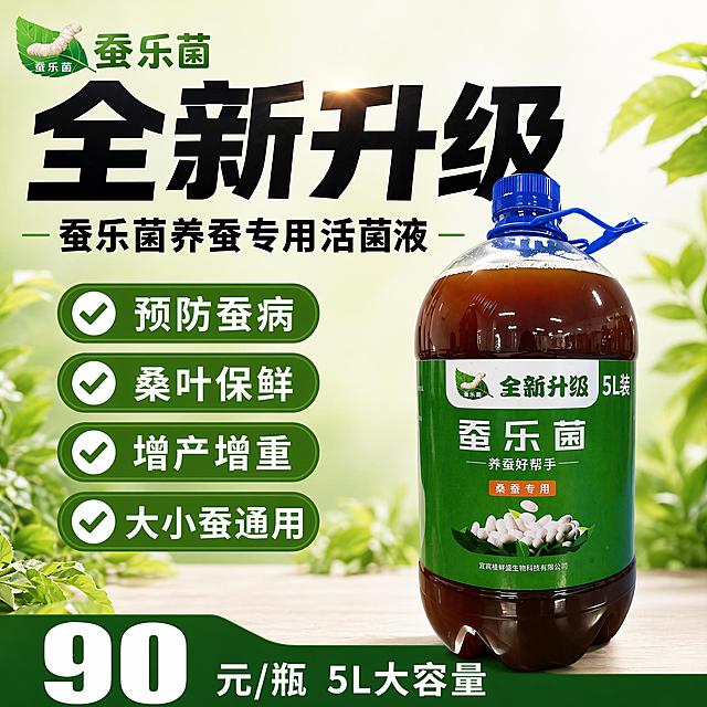 [单张主图] 蚕乐菌养蚕专用活菌液全新升级，爆款促销感主图，同时承担点击、理解、信任、转化四个任务，突出全新升级核心卖点。
[参考比对] 用户提供参考图为1:1正方形电商主图，采用左文右图布局，左侧文字分区清晰，右侧产品居中完整展示，浅绿色到白色渐变背景搭配模糊桑叶植物装饰，绿色主色调搭配白色文字对比清晰，整体风格专业清新；生成时保持这个整体布局和配色风格，核心突出全新升级卖点。
[画面主体] 一瓶5L装蚕乐菌养蚕专用活菌液完整展示在画面右侧，产品外观、瓶身形状、颜色、标签文字、品牌Logo与输入产品图完全一致，标签上原有全新升级字样保留，杜绝任何变形和色差，精细化处理瓶身反光和标签细节。商品主体占画面约62%，清晰完整，不被任何文字遮挡关键结构。左上角保留原品牌蚕乐菌标识，字形颜色和比例保持一致。
[构图版式] 采用顶部大标题型版式，顶部区域放品牌和主标题，中部偏右下区域放产品主体，底部通栏放核心信息，整体结构稳定层级清晰。
[场景元素] 背景使用浅绿色渐变到白色，左右两侧添加模糊虚化的新鲜桑叶叶片做自然装饰，不抢主体，增加农业产品天然氛围。底部通栏放价格和容量信息。
[文案版式] 顶部左上角放置蚕乐菌品牌Logo，顶部中间放置超大粗黑主标题"全新升级"，主标题下方放副标题"蚕乐菌养蚕专用活菌液"；左侧从上到下排列四个绿色勾选框卖点标签，每个标签内白色文字分别为："预防蚕病" "桑叶保鲜" "增产增重" "大小蚕通用"；底部深绿色通栏，左侧放超大白色数字"90"，右侧放白色文字"元/瓶 5L大容量"。所有文字分区清晰，文字大小对比明显，全部清晰可读，不遮挡产品主体。
[光影质感] 主光为正面均匀柔光，充分照亮产品瓶身和文字区域，侧方辅光增加瓶身立体感，产品在底部台面上留下自然柔和投影，背景虚化干净，商业摄影质感，光线通透，产品清晰真实，画面干净高级。
[配色字体] 主色调为产品标签提取的深绿色，辅助色为浅绿色和白色，强调色为深绿色用于底部通栏，字体选用粗黑无衬线字体，主标题最大，价格数字其次，卖点文字中等，辅助文字最小，字色与背景对比强烈，容易识别。
[比例分辨率] 1:1比例，2048x2048像素，分辨率2K，文字清晰可辨，超高清。
[负向提示词] 变形，文字错乱，产品图模糊，背景杂乱，水印，电商平台Logo，错字，伪Logo，主体遮挡，低清晰度，错误结构，原有文字变形