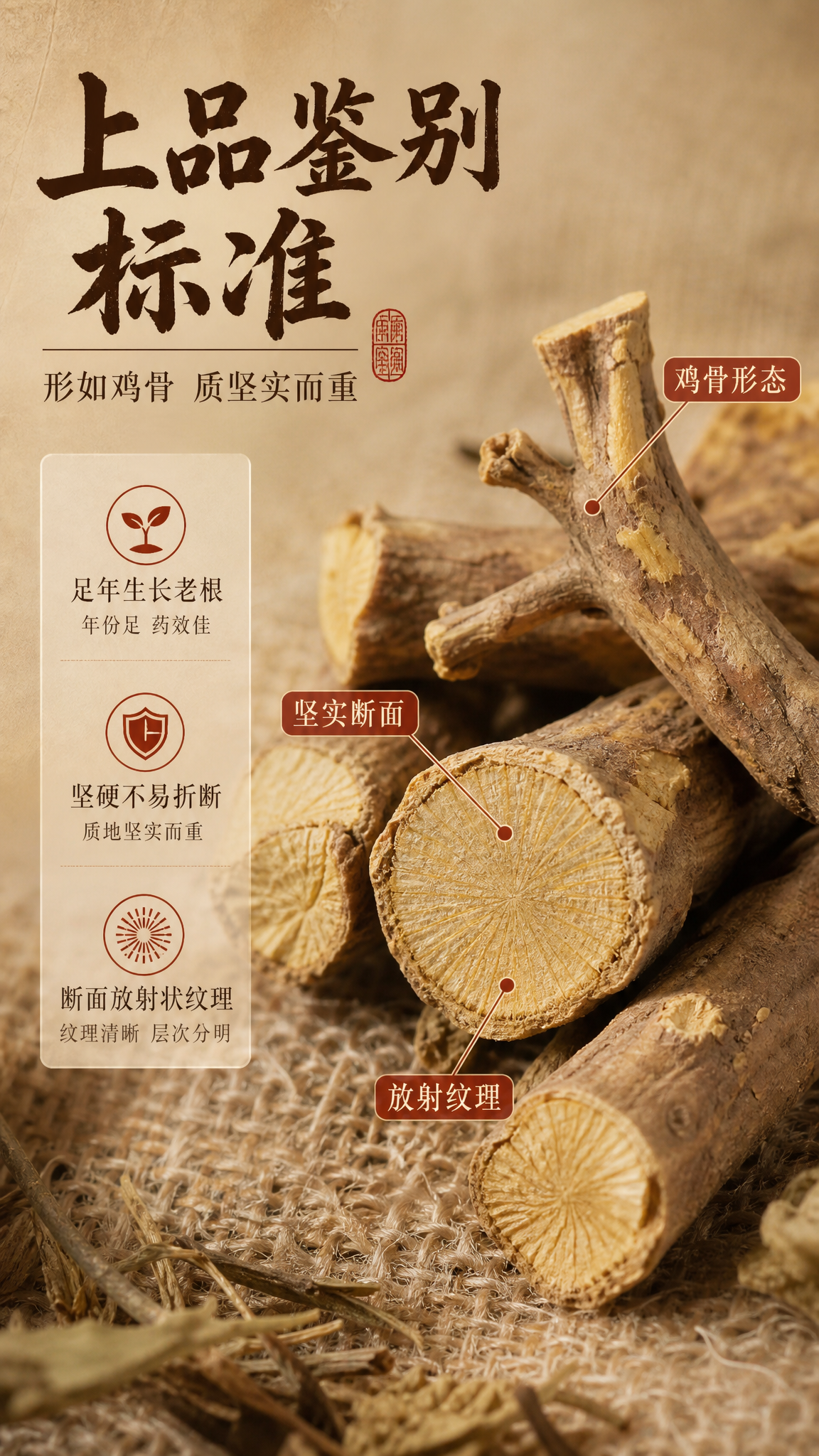 [商品] 使用【图2】鸡骨常山药材，保留药材棕黄外皮、黄白色断… - 图片创意预览
