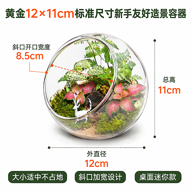 斜口玻璃瓶尺寸标注主图，完整展示产品，清晰标注外直径12cm 总高11cm 斜口开口宽度，引线标注清晰。顶部文字“黄金12×11cm标准尺寸
新手友好造景容器”，下方文字“大小适中不占地 斜口加宽设计 桌面迷你款”，白色背景，标注清晰不遮挡主体，文字醒目，1:1构图，高清
