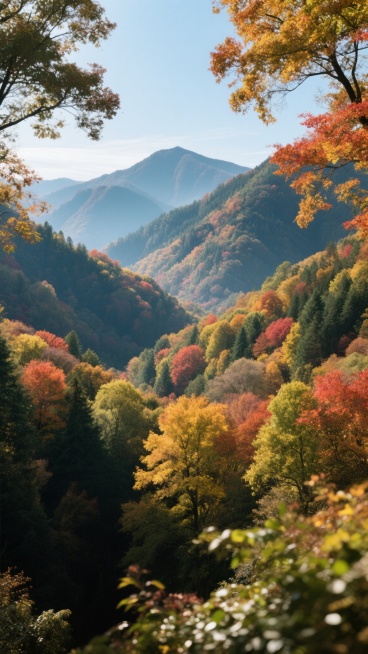 山林间层林尽染的彩叶景观，自然清新风格，冷暖色调结合，旅游宣传海报预览效果