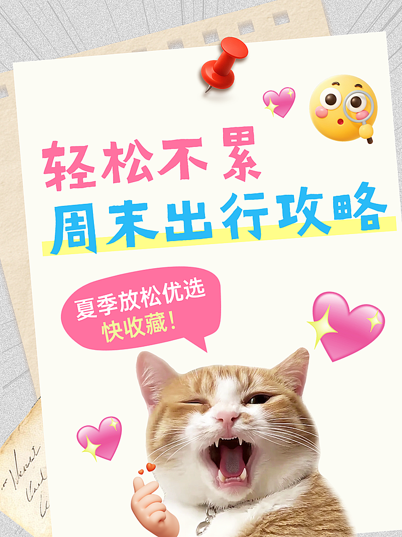 夏日周末轻松出游攻略可爱meme梗图爆款大字小红书封面