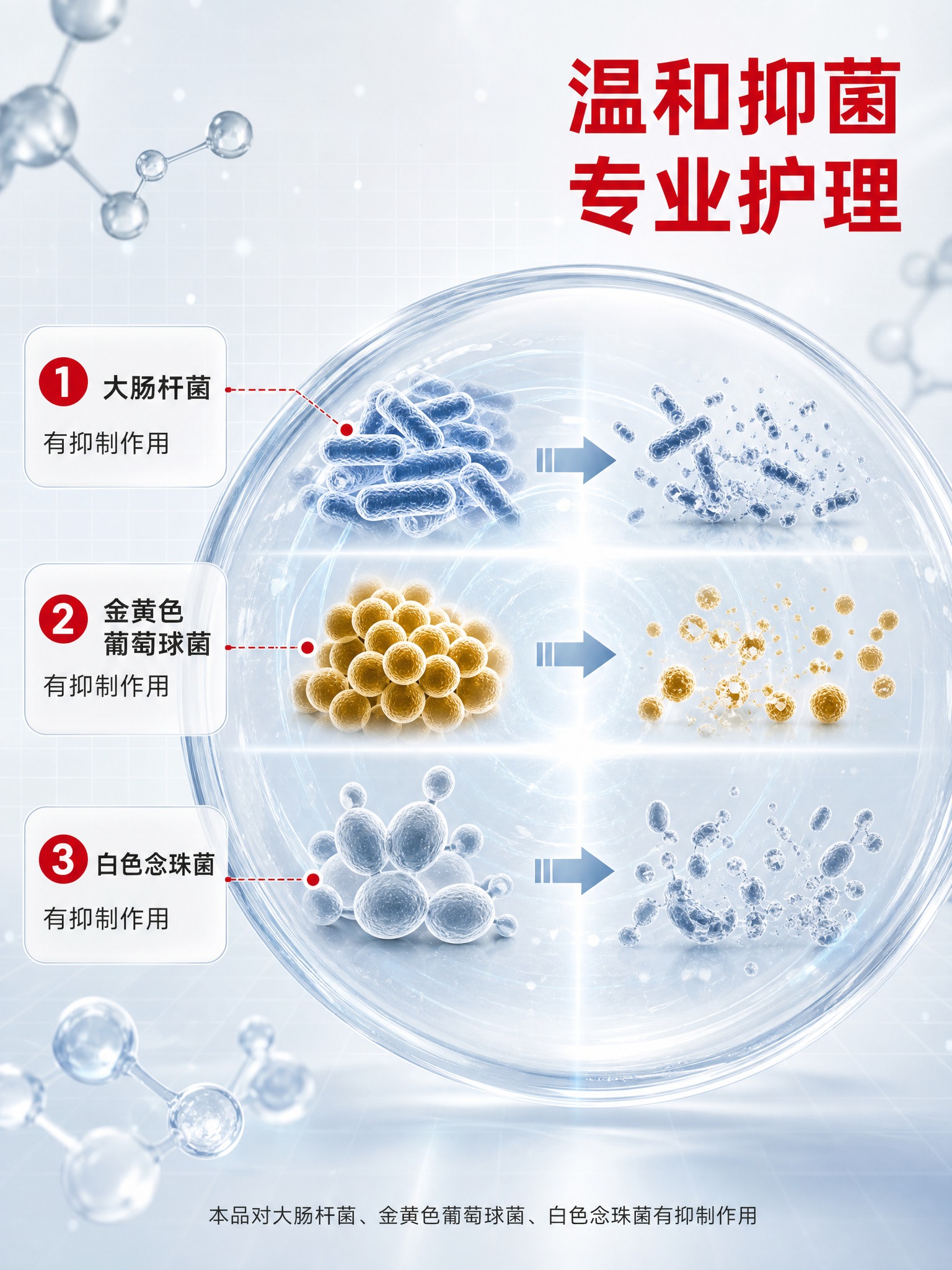 [商品] 本页为成分机理专页，可不使用产品图进行图生图；产品名… - 图片创意预览