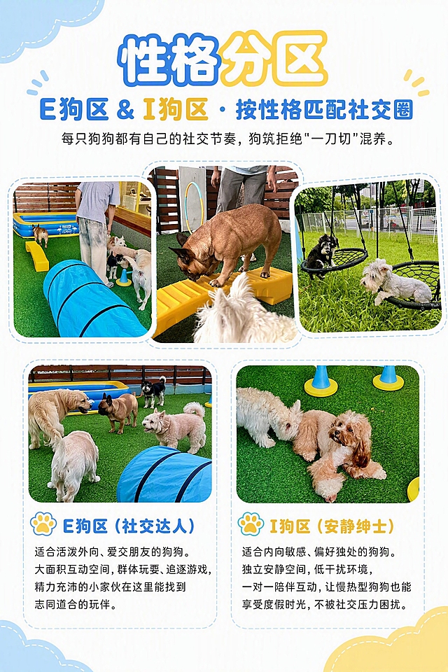 A4竖版宣传海报，延续之前系列的卡通可爱风格：白色背景，左上角和左下角有浅蓝色不规则云朵装饰，右下角有浅黄色不规则云朵装饰，整体简洁干净。

顶部标题区：主标题第一行"性格分区"，第二行"E狗区 & I狗区 · 按性格匹配社交圈"，字体圆润可爱，蓝黄配色，与系列第一张风格一致。
标题下方一行小字："每只狗狗都有自己的社交节奏，狗筑拒绝"一刀切"混养。"

画面中部：排列3张实景照片（狗狗群体玩耍、狗狗互动、秋千上的狗狗），照片带有圆角和浅蓝色虚线边框，大小错落排列。

画面下半部分：左右分两个板块，E狗区和I狗区：

左侧E狗区（社交达人）：配1张狗狗群体玩耍的实景照片（圆角浅蓝色虚线边框），下方文字区标题"E狗区（社交达人）"，前面配一个可爱的狗爪爪图标（肉垫浅黄色，轮廓浅蓝色）。内容："适合活泼外向、爱交朋友的狗狗。大面积互动空间，群体玩耍、追逐游戏，精力充沛的小家伙在这里能找到志同道合的玩伴。"

右侧I狗区（安静绅士）：配1张狗狗安静休息的实景照片（圆角浅蓝色虚线边框），下方文字区标题"I狗区（安静绅士）"，前面配一个可爱的狗爪爪图标。内容："适合内向敏感、偏好独处的狗狗。独立安静空间，低干扰环境，一对一陪伴互动，让慢热型狗狗也能享受度假时光，不被社交压力困扰。"

整体配色：白色背景 + 浅蓝色 + 浅黄色为主色调，清新温暖。版式精美，四周留足安全边距，文字清晰可读。5张实景照片合理分布，画面简洁干净不杂乱。与系列第一张海报风格统一。

画面中所有文字必须准确无误，不得有错别字。