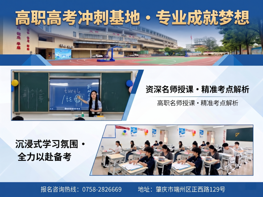 预览效果