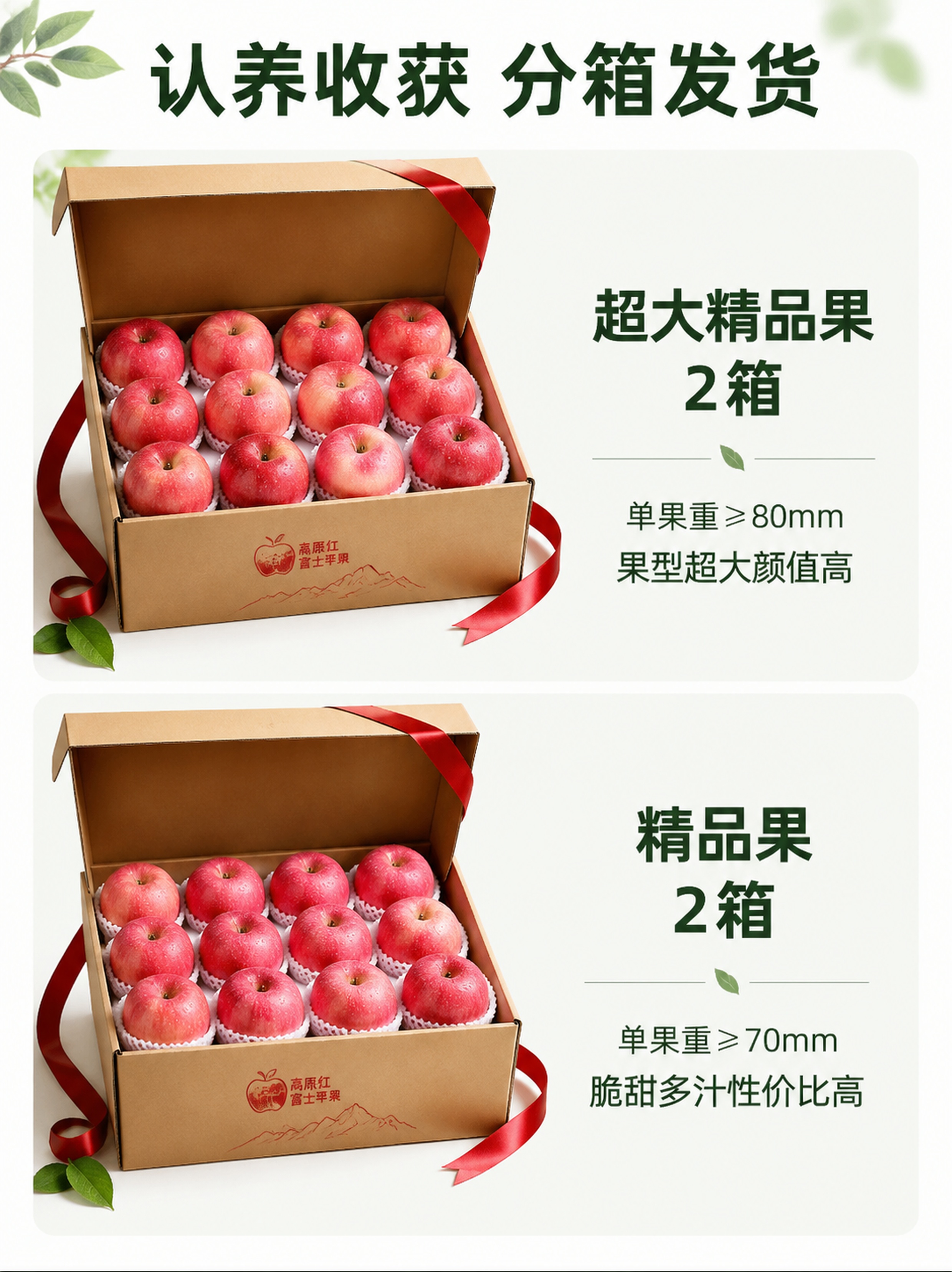 [第6屏] 收获规格展示，分箱说明超大精品果与精品果区别。 [… - 图片创意预览