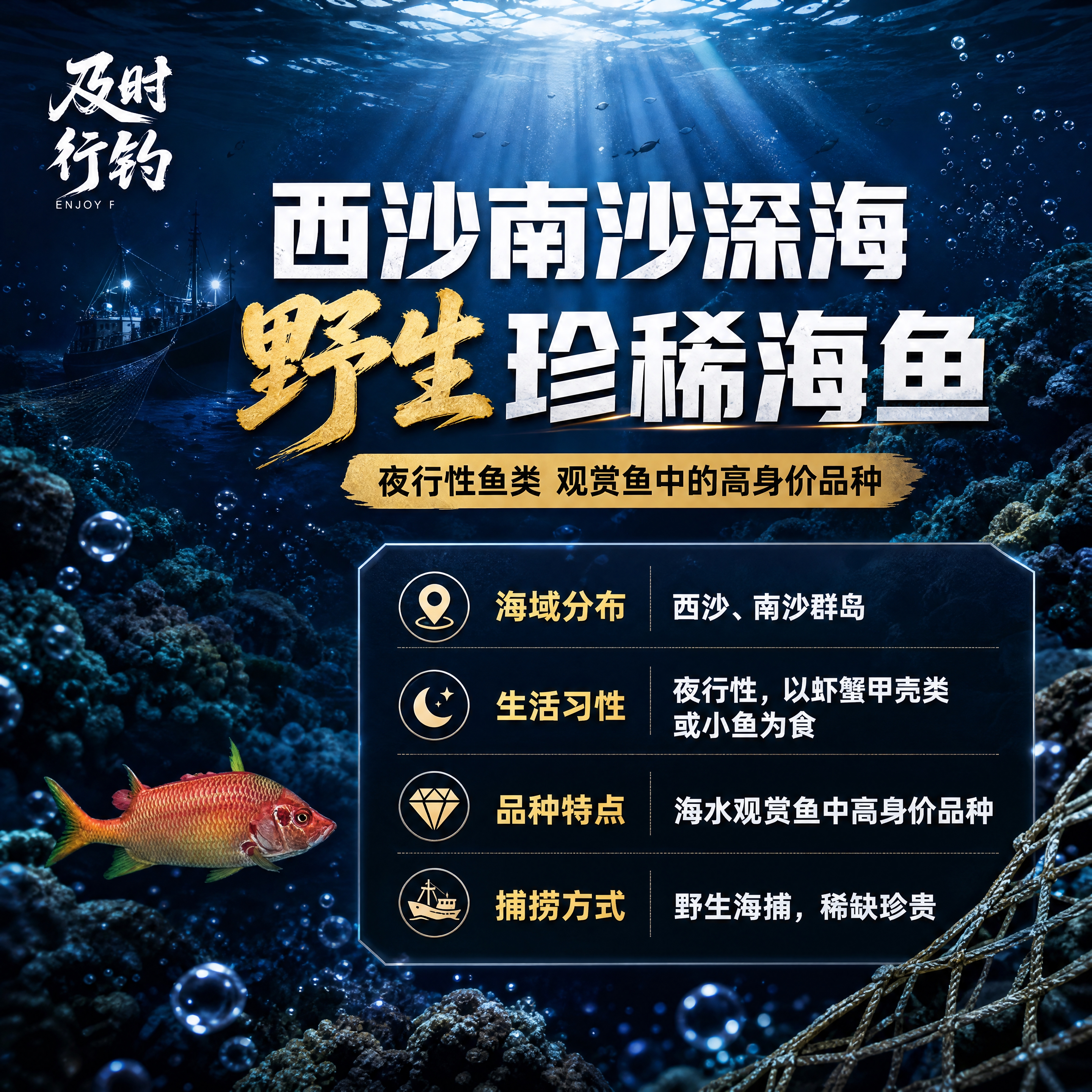 [商品] 使用【图1】野生红灯笼鱼；保留鱼身橙红色鳞片、绿色鱼… - 图片创意预览