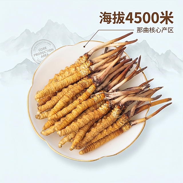 [主图-2] 那曲鲜虫草产地溯源展示；
[氛围风格] 真实可信天然品质感；
[画质] 商业摄影质感，光线柔和通透，产品清晰真实，画面干净高级；
[元素] 新鲜虫草整齐排列在白瓷金边盘中央，背景融入淡墨青藏高原山脉剪影，叠加核心产区标识。保持虫草外观（物理结构、材质质感、颜色）与输入产品图绝对一致，杜绝任何变形和色差，精细化处理。商品主体占比严格控制在65%左右，画面满屏无边框。
[光影] 顶侧自然柔光，均匀照亮虫草纹理，虫草本身金黄质感突出，背景山脉剪影柔和不抢主体，光影层次分明；
[配色] 主色调瓷白+虫草金黄，远山浅青灰点缀，干净素雅高级；
[视角构图] 平俯视拍摄，主体完整居中，景深适中；
[文字版式] 右上区域放置超大字号数字"海拔4500米"，深棕色粗体，下方小字"那曲核心产区"，左侧引线指向虫草主体，纤细引线清晰对应；
[比例分辨率] 1:1比例，2k分辨率，文字清晰锐利，超高清；
[负向提示词] 变形，水印，文字错乱，产品图模糊，背景杂乱，夸张功效宣传