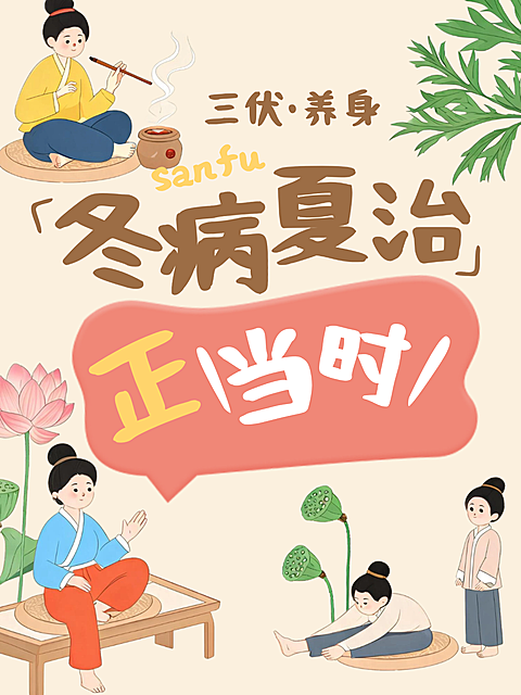 三伏天冬病夏治养生科普卡通风小红书封面