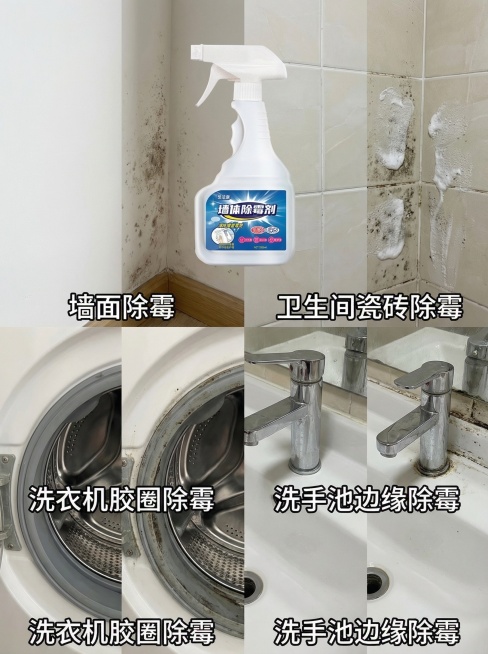 圣洁康墙体除霉剂详情页多场景展示图，家居实景风格，自然光。画面采用四宫格布局，分别展示产品用于墙面除霉、卫生间瓷砖除霉、洗衣机胶圈除霉、洗手池边缘除霉的场景，每个场景配对应文字标注，产品在画面顶部居中预览效果