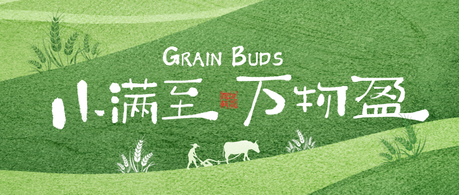 小满节气祝福清新公众号首图预览效果