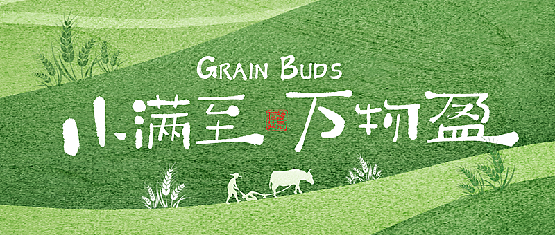 小满节气祝福清新公众号首图
