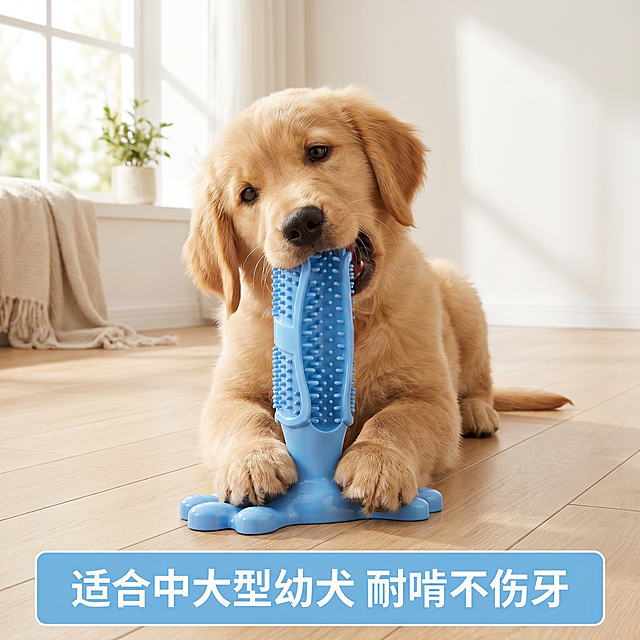 [主图 4] TPRR软胶狗牙刷使用场景展示；商业摄影质感、光线柔和通透、产品清晰真实、画面干净高级。展示狗狗叼咬狗牙刷玩具的真实场景，金毛幼犬正在使用这款磨牙牙刷，整体画面温馨自然，宠物客厅场景背景简洁不过于复杂。保持狗牙刷产品外观（物理结构、材质质感、颜色）与输入产品图绝对一致，杜绝任何变形和色差，精细化处理。产品在画面中占比约50%，狗狗自然互动，场景真实有代入感。自然光从窗户射入，光影柔和温暖，氛围生活化。浅米色地板+白色墙面干净背景，突出蓝色产品。底部文字框“适合中大型幼犬 耐啃不伤牙”浅蓝底白字，清晰说明适用场景。1:1比例，2k分辨率，文字清晰可辨，超高清。负向提示词：变形，水印，文字错乱，产品图模糊，背景杂乱。