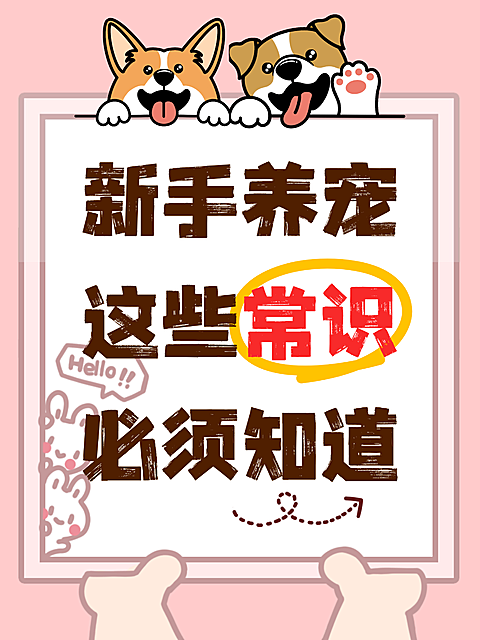 粉白色新手养宠必须知道的常识小红书封面