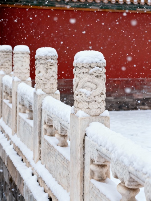 生成故宫下雪了的10张小红书配图和1张封面图，结合文案：落雪紫禁城｜北京初雪已至，故宫又美成了千年前的模样
文案
北京终于下雪啦❄️当雪花落在故宫的檐角、红墙、汉白玉台基上，朱红与雪白撞出的，是独属于预览效果