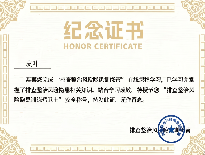 完全不改动原图其他部分，仅将证书上的葛金鑫改为皮叶，所有姓名使用和原图一致的细字体，保持字号、字重、颜色完全相同，名字中间不加空格，下划线位置、长度、基线统一，不添加特殊符号预览效果