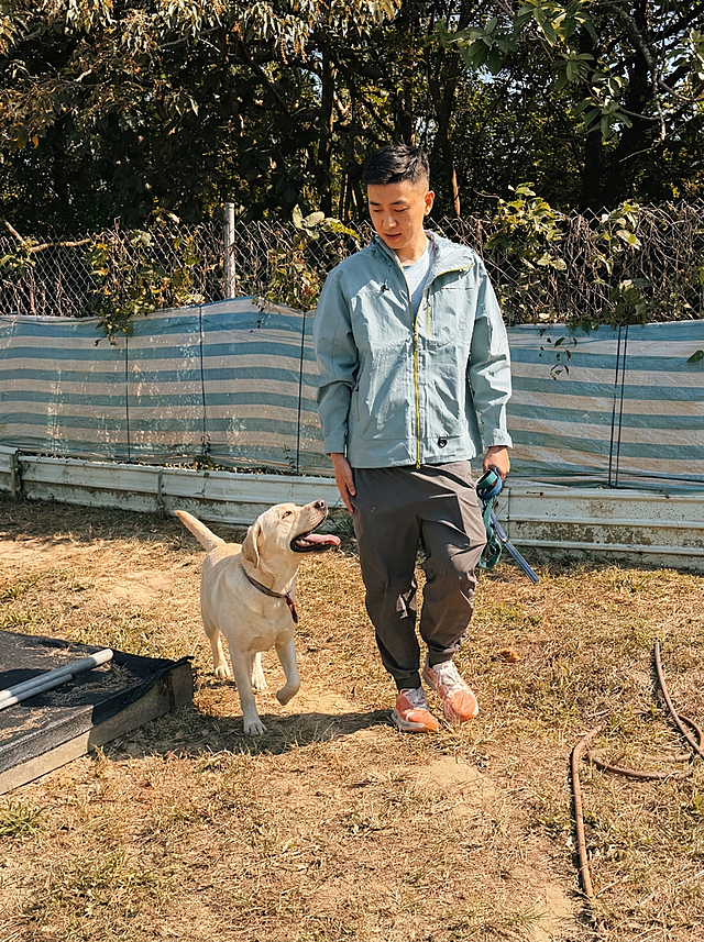 make the photos very professional for instagram and 小红书。they should both in 3:4 format. you are a professional photo editor and need to edit the cover page for 小红书。make it to 3:4 vertical  the tones and color warmness should be reasonable and the photo should look professional esp for a dog owner and dog in the farm scene. It should be cinematic effect.