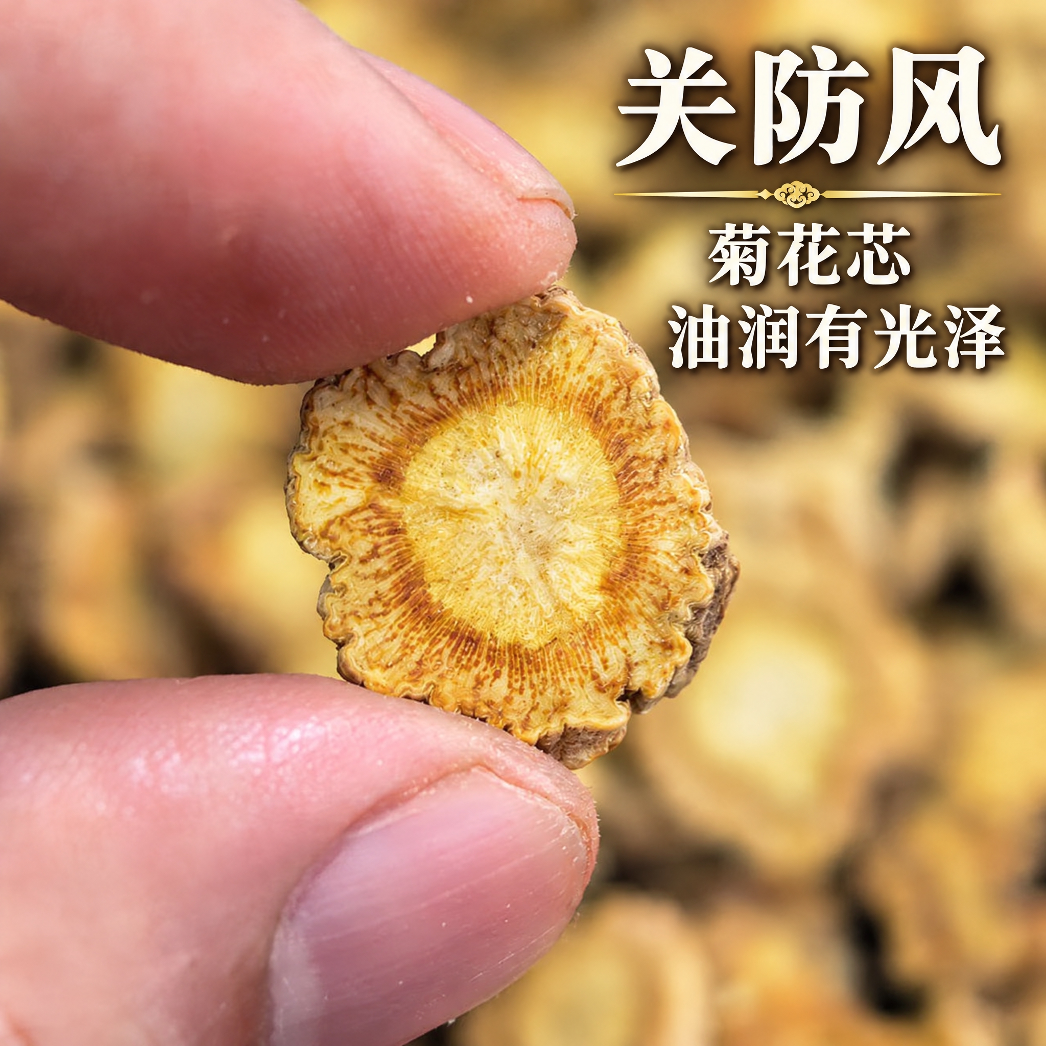 以上传的防风素材为基底制作中药材电商主图。严格保留原画面：手指… - 图片创意预览
