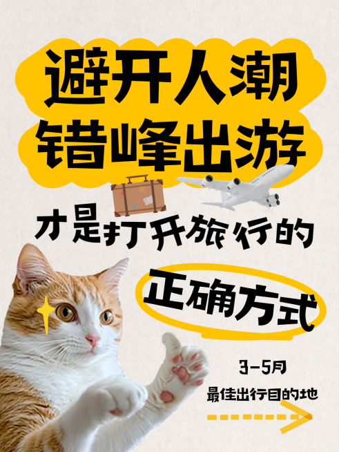 猫咪出行旅游吸睛大字小红书封面预览效果