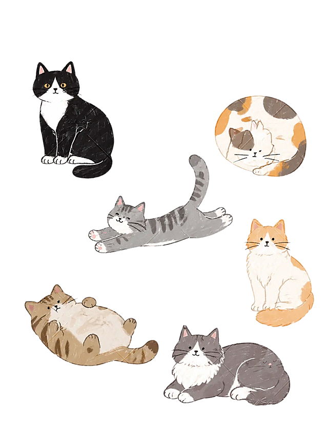 参考原图的手绘猫咪插画风格，重新生成六只不同形态、不同配色的可爱猫咪插画，保留文字内容CATS CUTE MAO，移除画面中的水印，保持整体简约干净的白色背景风格。