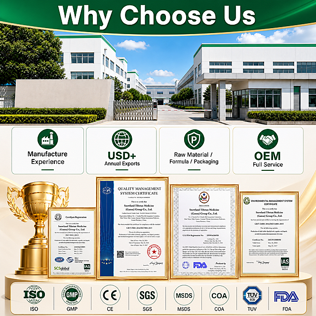 [Company Main Image] Combine two input images to create a 1:1 company strength display main image. Integrate factory building display from the first image and complete certificates display from the second image. Top section display the title "Why Choose Us" in large bold white font on green background, same as the first image. Middle upper part display the modern factory gate view, keep factory appearance and four core advantage icons and text: Manufacture Experience, USD+ Annual Exports, Raw Material / Formula / Packaging, OEM Full Service. Bottom part display the framed qualification certificates and golden trophy from the second image, and integrate all certification logos: ISO, GMP, CE, SGS, MSDS, COA, TUV, FDA. Maintain green and gold main color matching, professional business style, highlight company strength and complete qualification certification. All text must be kept clear and readable, no text confusion. Keep all key information from the two input images, reasonable layout on 1:1 square canvas, layered clearly, commercial photography high-definition texture, soft and balanced light, compliant with cross-border e-commerce main image requirements. 1:1 square, 2K resolution. Negative prompt: deformation, text confusion, overlapping layout, blurred picture, cluttered background.