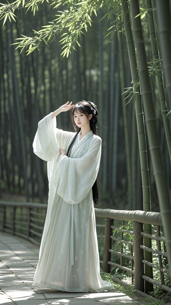 模板预览图