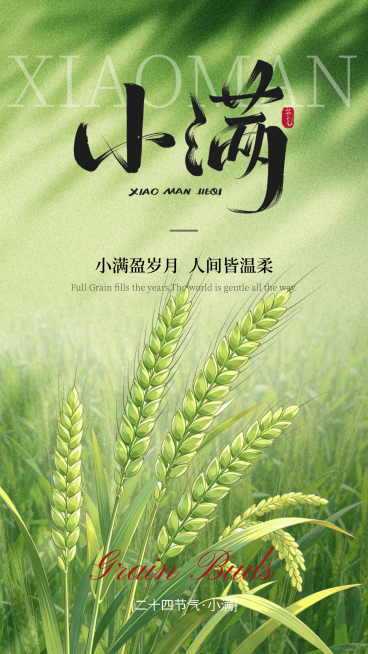 清新感绿色插画风小满节气祝福微信朋友圈通用竖版海报预览效果