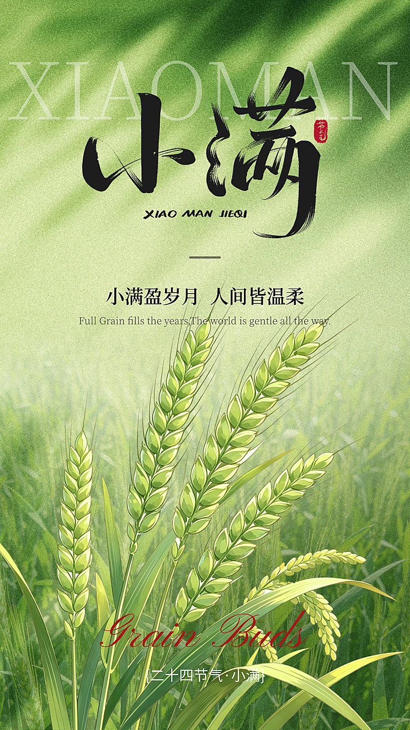 清新感绿色插画风小满节气祝福微信朋友圈通用竖版海报