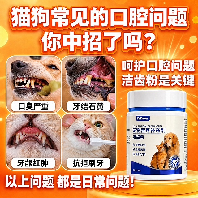 基于这张拼多多主图进行文字修改：1. 底部文字"以上问题 都是日常口腔问题！"中的"口腔"二字去掉，改为"以上问题 都是日常问题！"；2. 右侧产品上方的文字"解决口腔问题 洁齿粉是关键"中的"解决口腔问题"改为"呵护口腔问题"，即变为"呵护口腔问题 洁齿粉是关键"。其余所有元素保持不变：顶部大标题、四宫格宠物照片和标签、产品瓶身、暖橙色背景、放射光效、整体构图和风格全部原样保留。文字字体、字号、颜色、描边样式与原图保持一致。