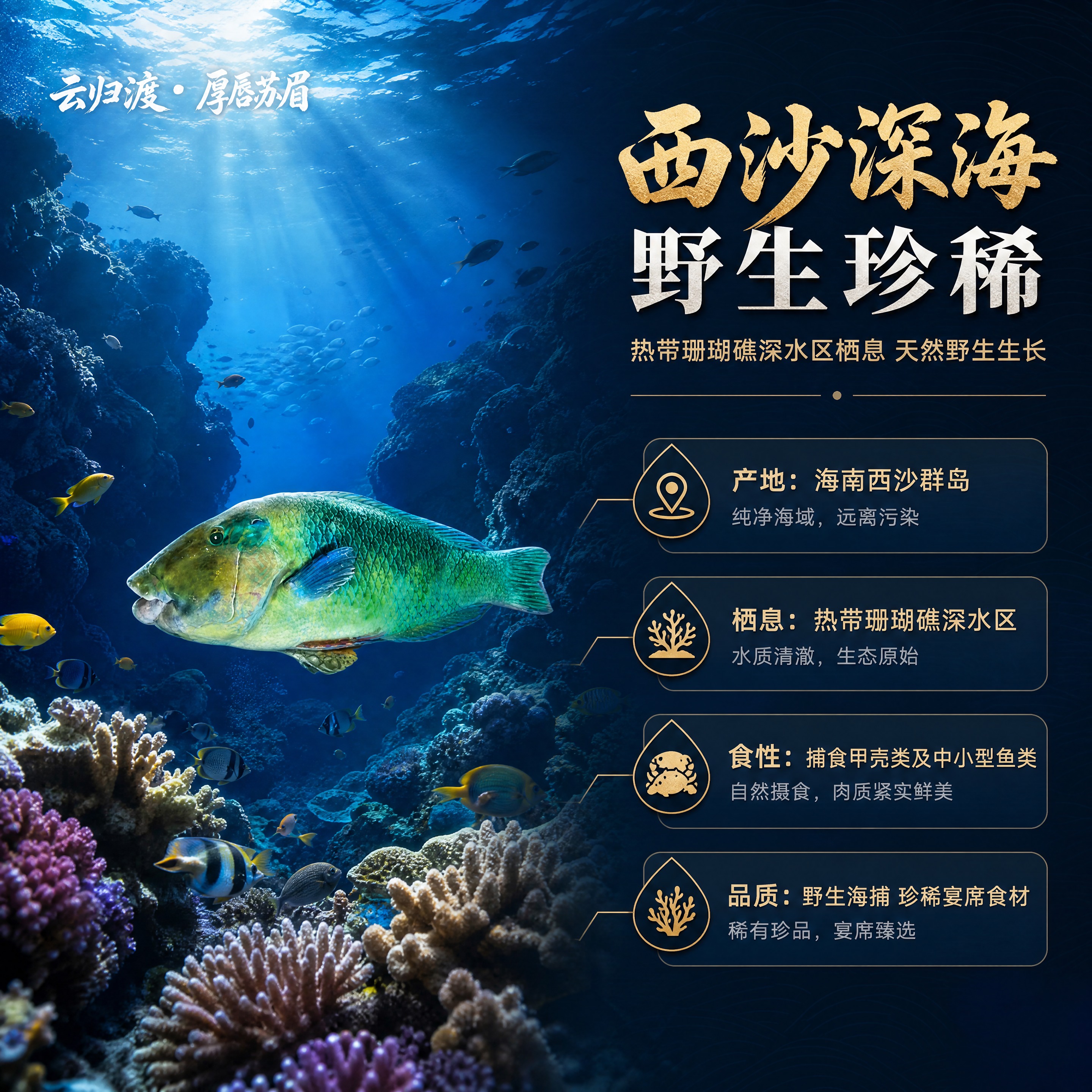 [商品] 使用【图1】厚唇苏眉鱼产品图；保留鱼身绿蓝鳞片纹理、… - 图片创意预览