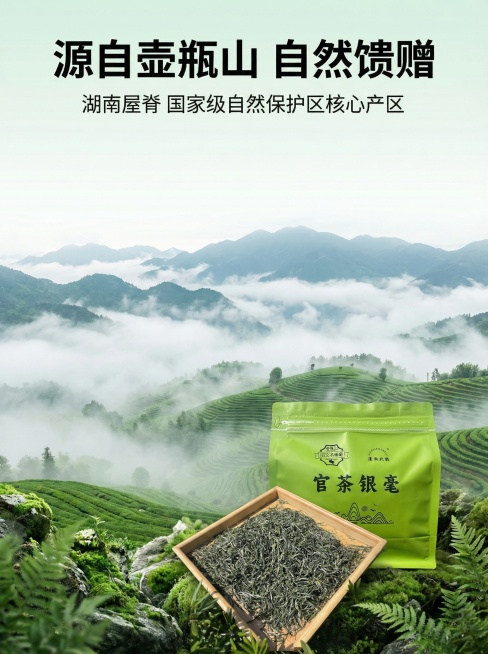 石门银毫商品详情页第一页：原产地优势。主标题"源自壶瓶山 自然馈赠"黑色粗体大字，副标题"湖南屋脊 国家级自然保护区核心产区"黑色小字。画面展示：壶瓶山高山茶园云雾缭绕的自然风光，背景是层叠山峦云雾，预览效果
