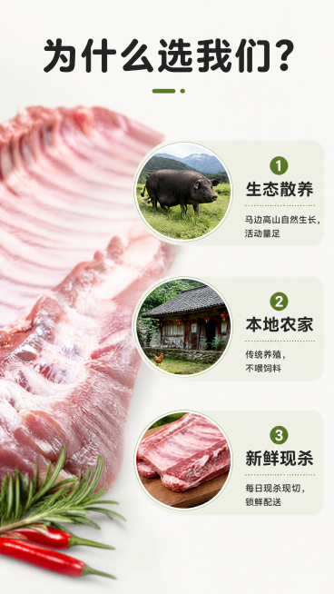 [第7屏] 核心卖点拆解-选择马边土猪排骨的三个理由。本屏使用【图5】整扇排骨作为左侧背景展示。
[氛围/风格] 清晰卖点梳理风，专业有信任感，生鲜商业摄影。
[元素布局] 左侧放置整扇排骨虚化作为背预览效果