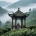 模板预览图