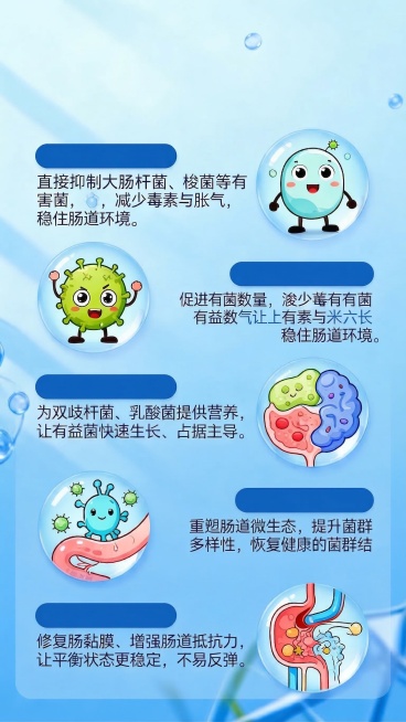 所有文案去掉预览效果