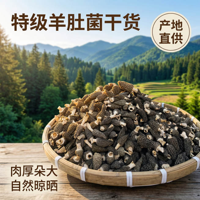 图生图，保留原产品的干羊肚菌外观形态不变，优化为拼多多主图，背景替换为云南山林自然风景，突出产品品质，画面左上角添加大字体主标题"特级羊肚菌干货"，右上角添加圆形标签"产地直供"，左下角标注卖点"肉厚预览效果