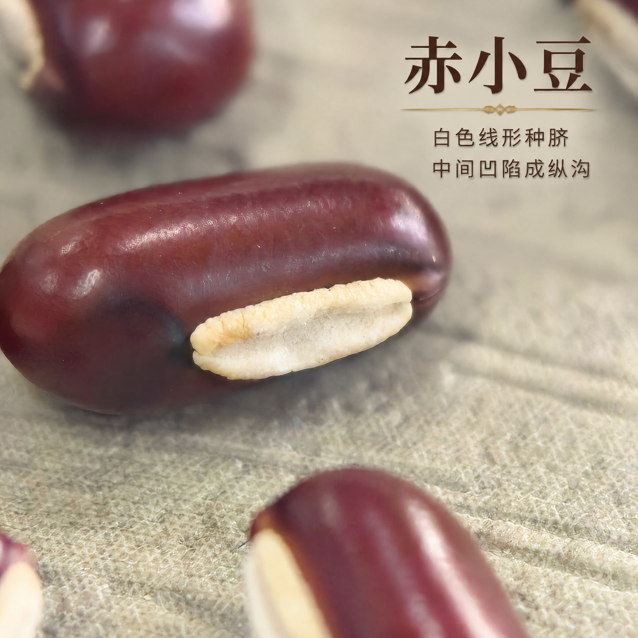 以上传的赤小豆素材为基底制作中药材电商主图。严格保留原画面：浅… - 图片创意预览