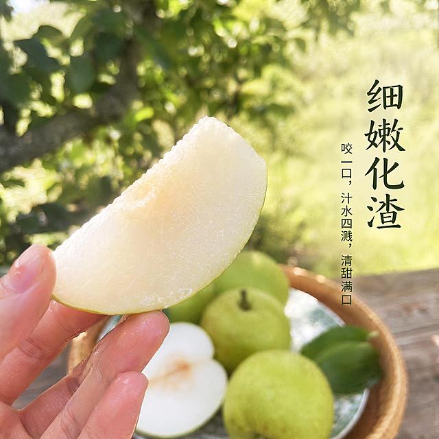 [主图4]百里洲砂梨实拍场景图，模拟第一人称展示，手拿起一块切好的砂梨，展示汁水丰盈的食用瞬间。保持果肉颜色质地和上传产品图一致，杜绝变形色差。户外梨园树荫下，背景虚化自然，突出砂梨新鲜水润的体验感。捕捉梨块切面微微汁水反光的诱人瞬间，自然暖调侧逆光，强化通透感和食欲感。浅绿自然色调，生活氛围感强。第一人称俯视抓拍视角，手部自然互动，主体是砂梨果肉，手不抢视觉焦点。右侧留出版式空间，放浅底深字的文案细嫩化渣，字号适中不遮挡主体。1:1比例，超高清商业摄影质感，自然真实。负向提示词：变形，文字错乱，产品图模糊，背景杂乱，水印，电商平台Logo。