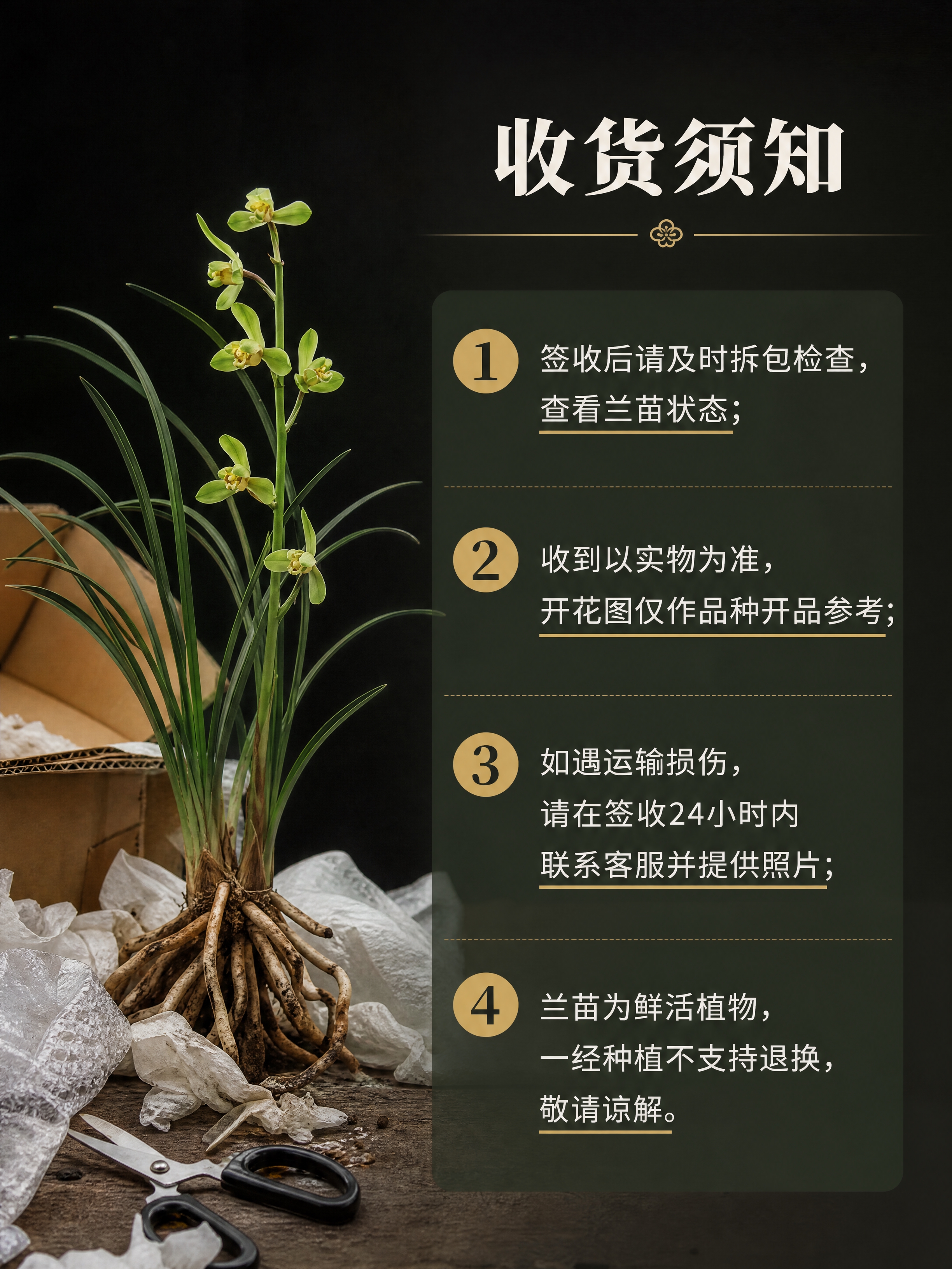 [商品] 使用【图1】江南新极品蕙兰参考图；保留兰叶形态特征；… - 图片创意预览