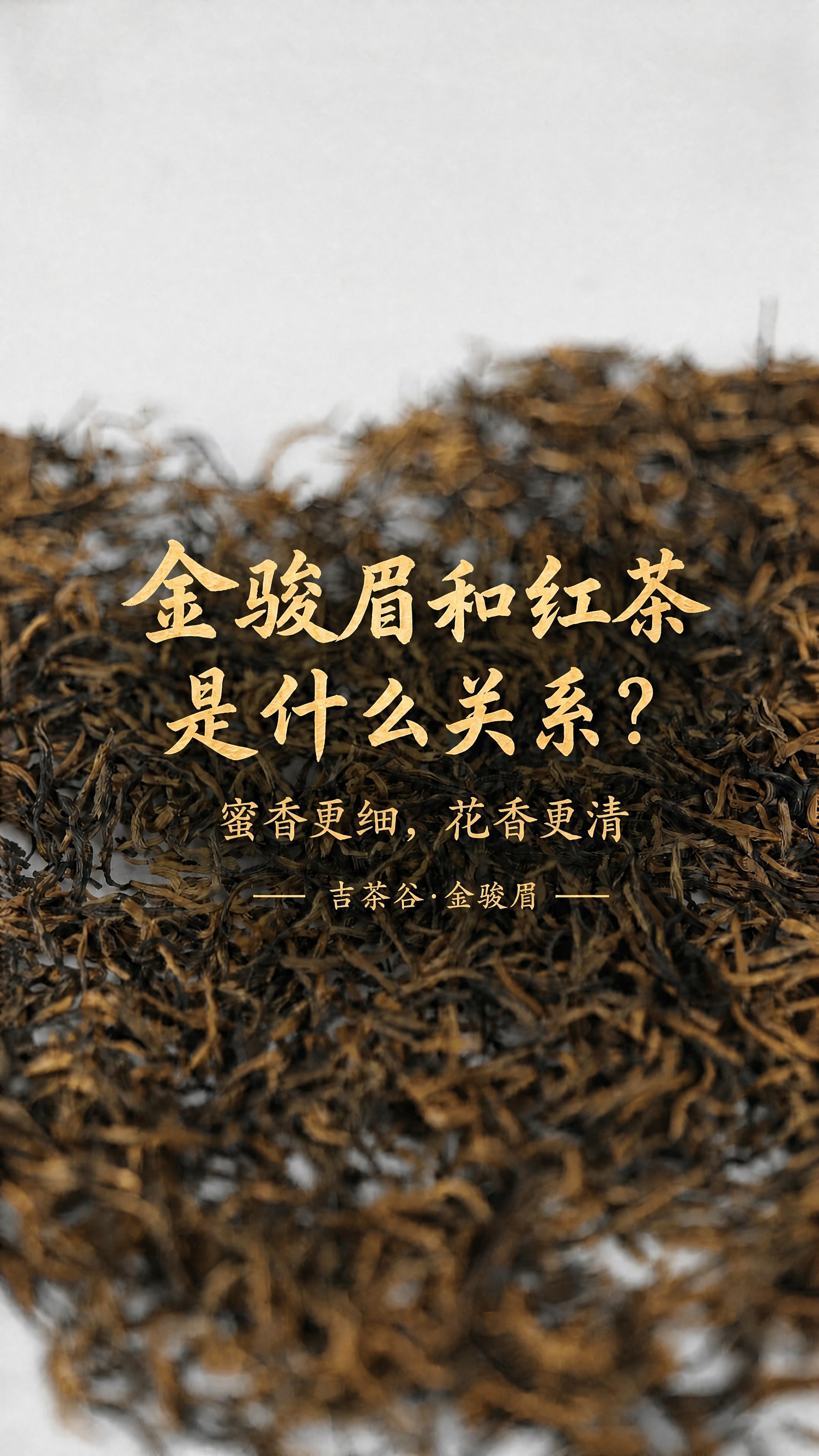 基于这张图片修改，背景完全原样保持不变，去除文字背后的黑色暗块… - 图片创意预览