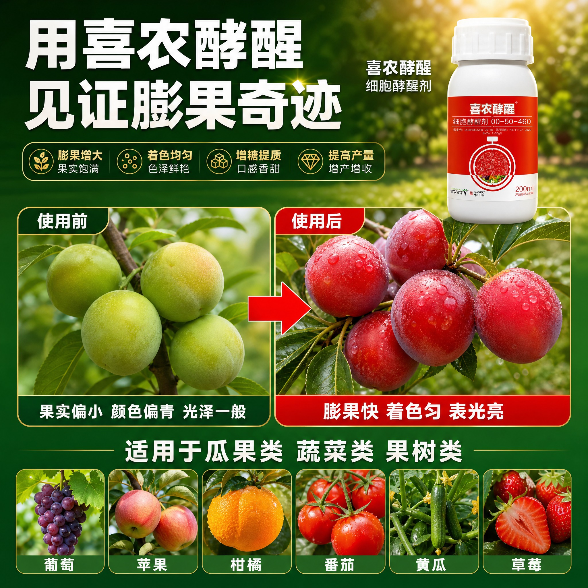 [主图-3] 主题：使用效果展示，膨果着色增糖提质，用真实果实… - 图片创意预览